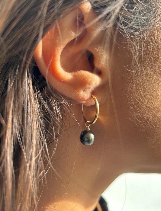 Mono boucle perle de Tahiti courte sur créole en or